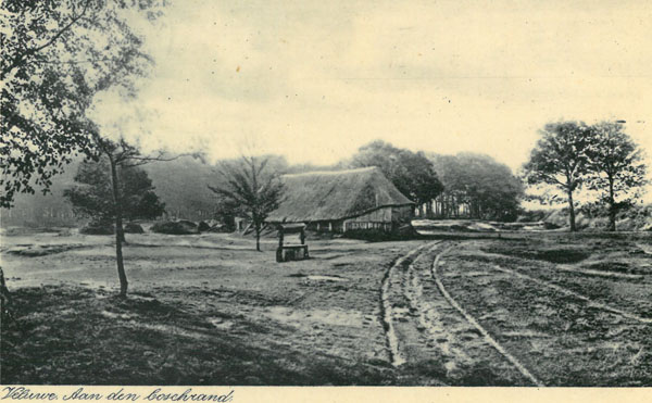 Boschrand1res.jpg