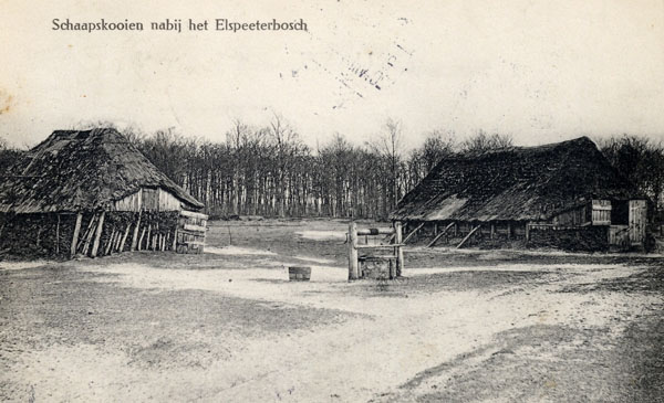 File0020.jpg